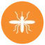 Zika Disease Icon