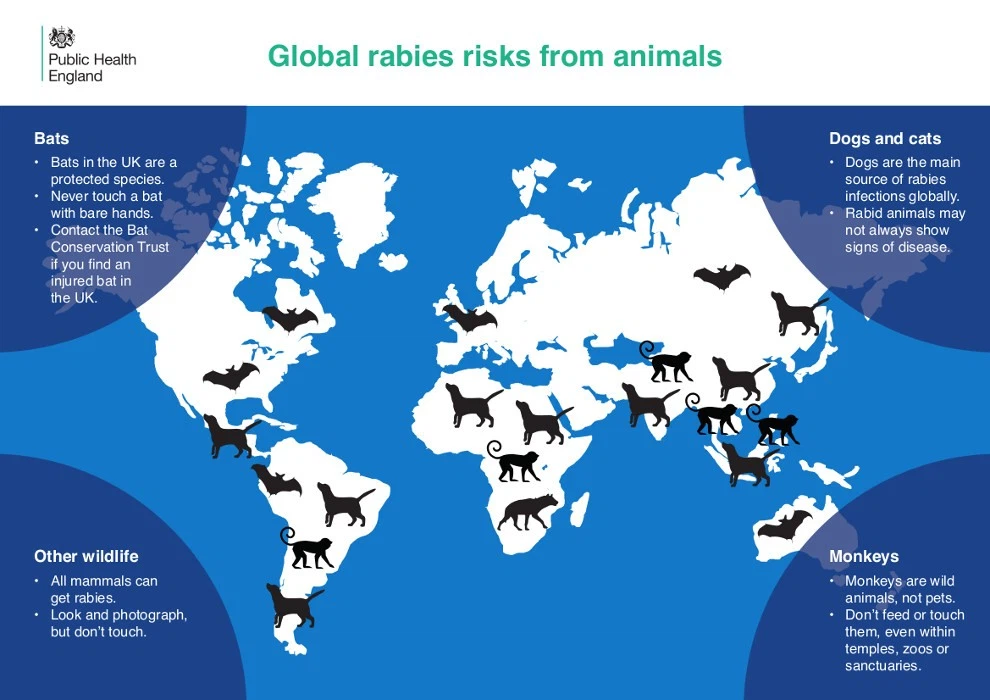 Global rabies risks from animals